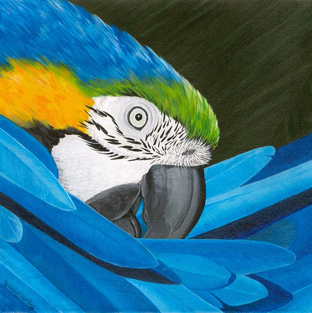 Acrylic painting of Blue and Yellow Macaw