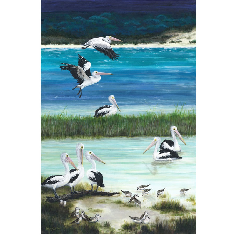 Acrylic painting of Pelicans